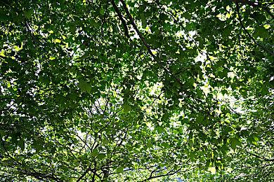 《血源》7月玩家数量击败了2023年多个PS5游戏